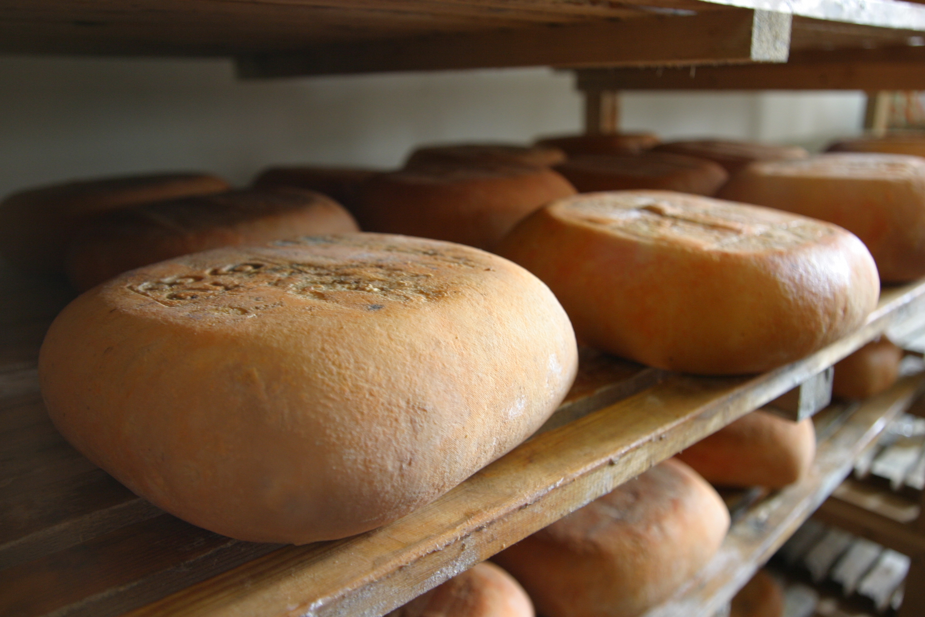 L’any 2021 es comercialitzaren 818 tones de formatge Mahón-Menorca artesà - Notícies - Illes Balears - Productes agroalimentaris, denominacions d'origen i gastronomia balear